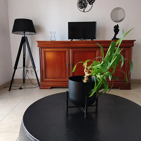 Appartement Rez De Jardin Avec Terrasse Saint-Jean-de-Braye Extérieur photo
