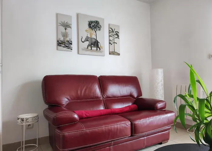 Appartement Rez De Jardin Avec Terrasse